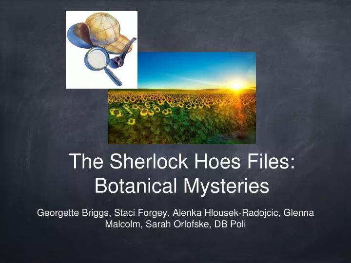 the sherlock hoes files botanical mysteries