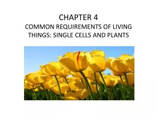 CHAPTER 4 COMMON REQUIREMENTS OF LIVING THINGS: SINGLE CELLS AND PLANTS