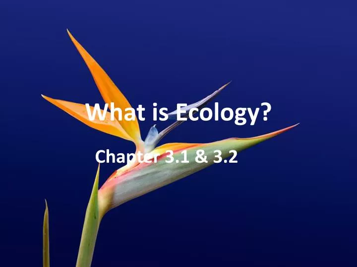 what is ecology