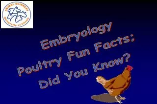 Embryology Poultry Fun Facts; Did You Know?