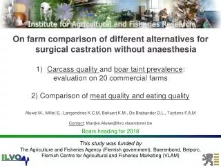 On farm comparison of different alternatives for surgical castration without anaesthesia