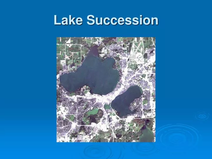 lake succession