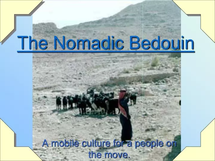 the nomadic bedouin