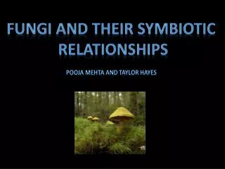 Fungi and Their Symbiotic Relationships