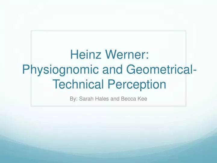 heinz werner physiognomic and geometrical technical perception