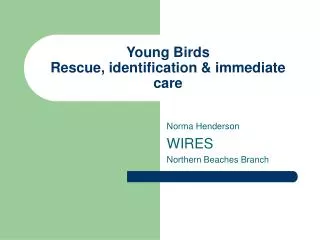 Young Birds Rescue, identification &amp; immediate care