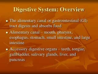 Digestive System: Overview
