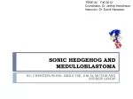 SONIC HEDGEHOG AND MEDULLOBLASTOMA - slide 1