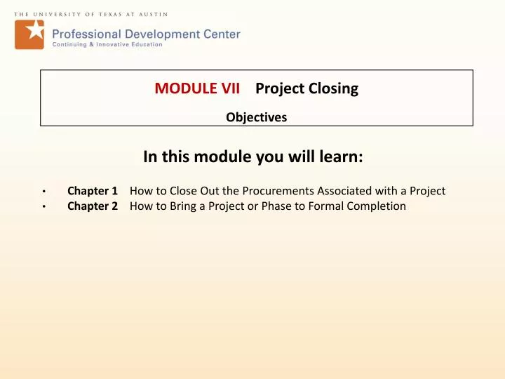 module vii project closing objectives