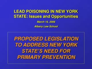 LEAD POISONING IN NEW YORK STATE: Issues and Opportunities March 16, 2006 Albany Law School