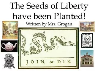 The Seeds of Liberty have been Planted! Written by Mrs. Grogan