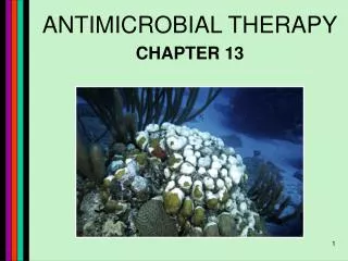 ANTIMICROBIAL THERAPY