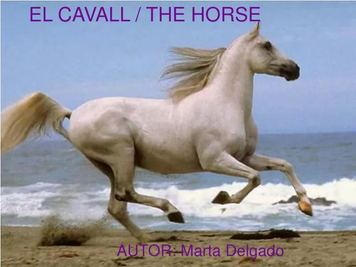 el cavall the horse