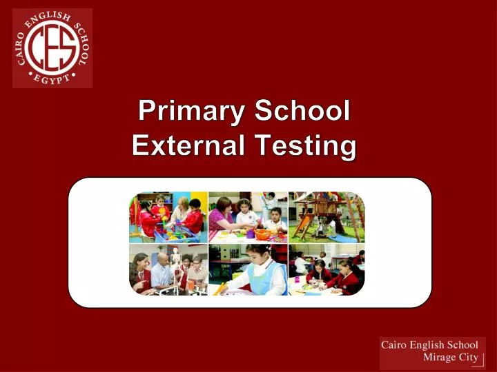 primary school external testing