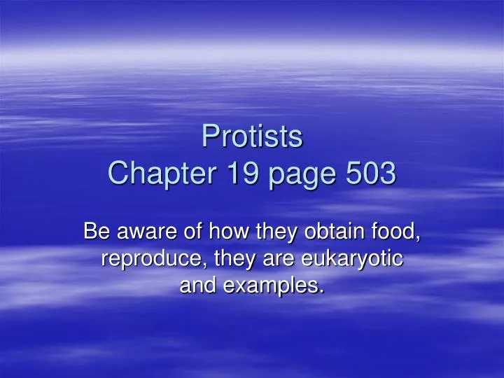 protists chapter 19 page 503