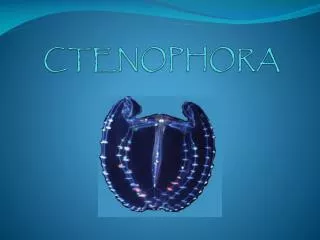 CTENOPHORA
