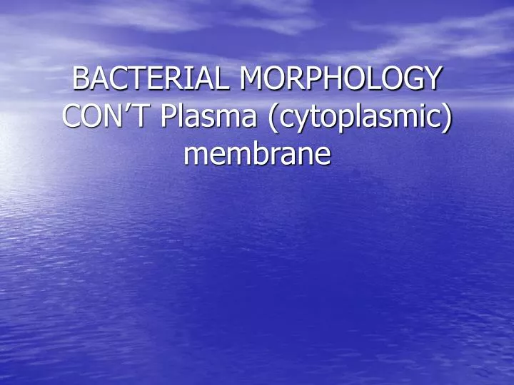 bacterial morphology con t plasma cytoplasmic membrane