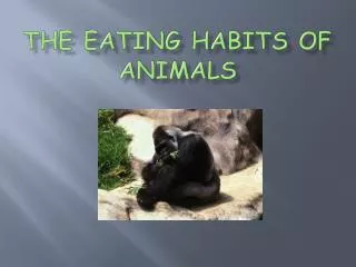 The Eating Habits of Animals