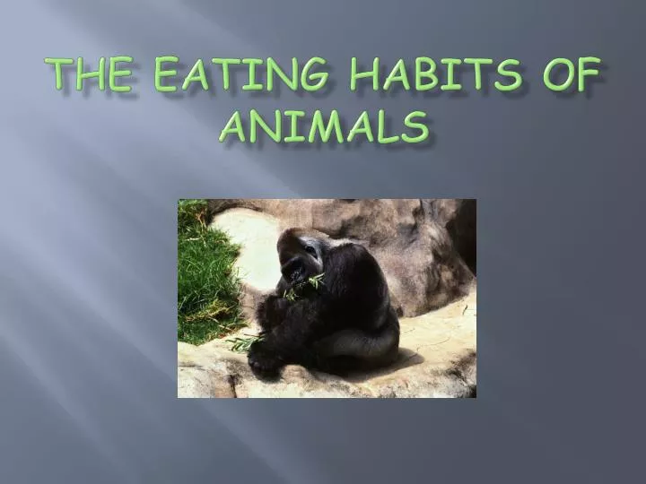 the eating habits of animals