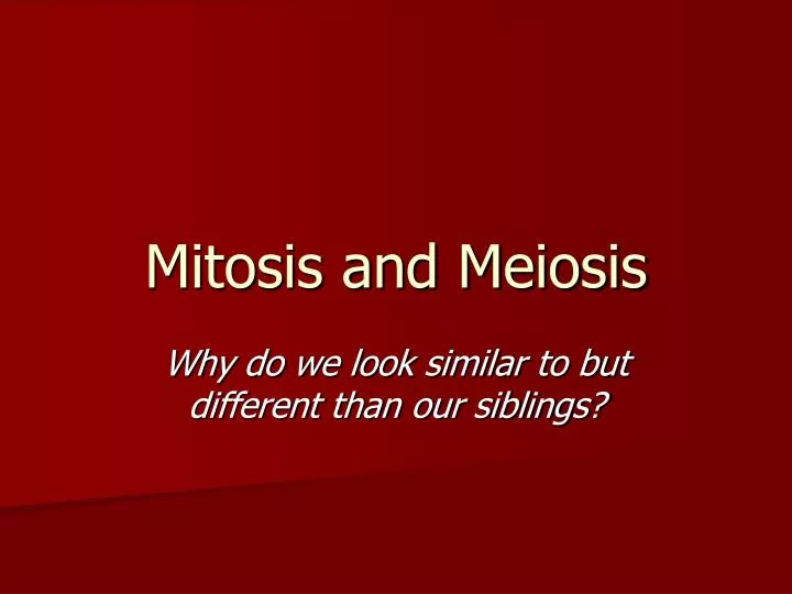 mitosis and meiosis