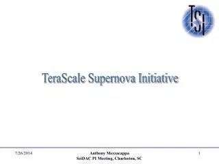 TeraScale Supernova Initiative