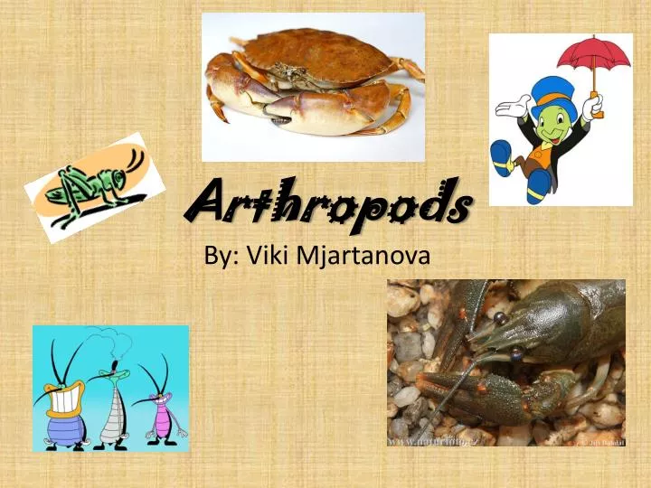 arthropods