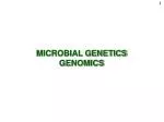 MICROBIAL GENETICS GENOMICS - slide 1