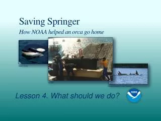 Saving Springer How NOAA helped an orca go home