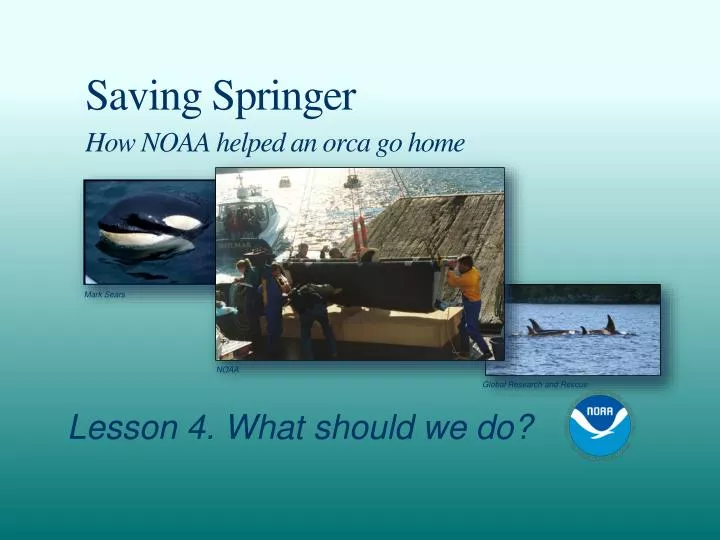 saving springer how noaa helped an orca go home