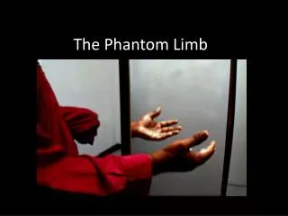 The Phantom Limb