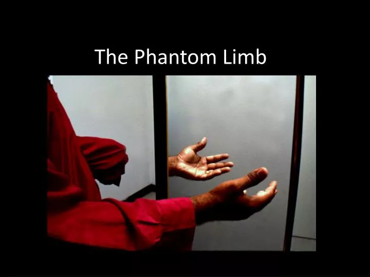 the phantom limb