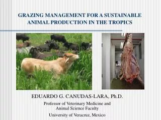 GRAZING MANAGEMENT FOR A SUSTAINABLE ANIMAL PRODUCTION IN THE TROPICS