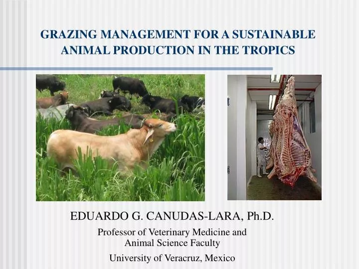 grazing management for a sustainable animal production in the tropics