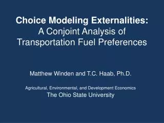 Choice Modeling Externalities: A Conjoint Analysis of Transportation Fuel Preferences