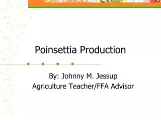 Poinsettia Production