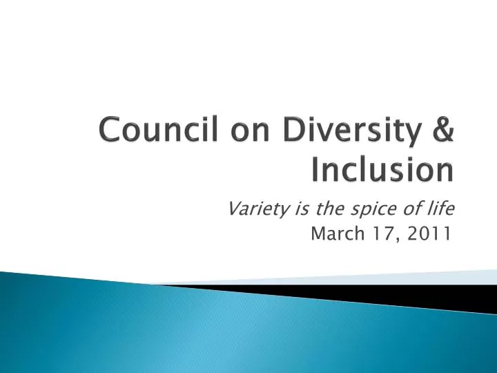 council on diversity inclusion