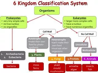 6 Kingdom Classification System