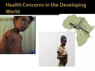 Health Concerns in the Developing World