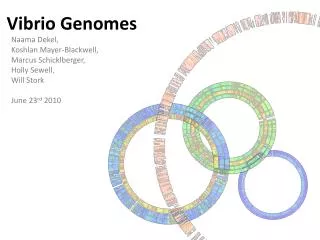 Vibrio Genomes