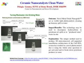 Ceramic Nanocatalysts Clean Water