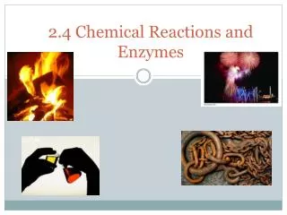 2.4 Chemical Reactions and Enzymes