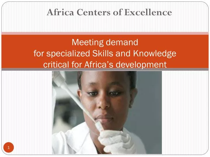 meeting demand for specialized skills and knowledge critical for africa s development