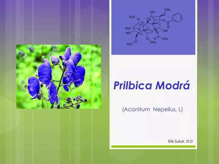 prilbica modr