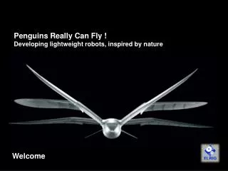 Penguins Really Can Fly ! Developing lightweight robots, inspired by nature