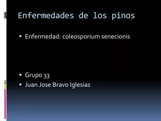 enfermedades de los pinos