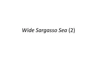 Wide Sargasso Sea (2)