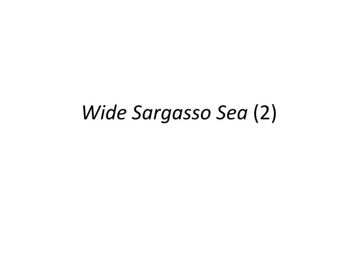 wide sargasso sea 2