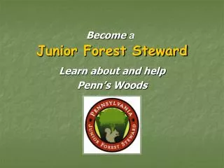 Junior Forest Steward