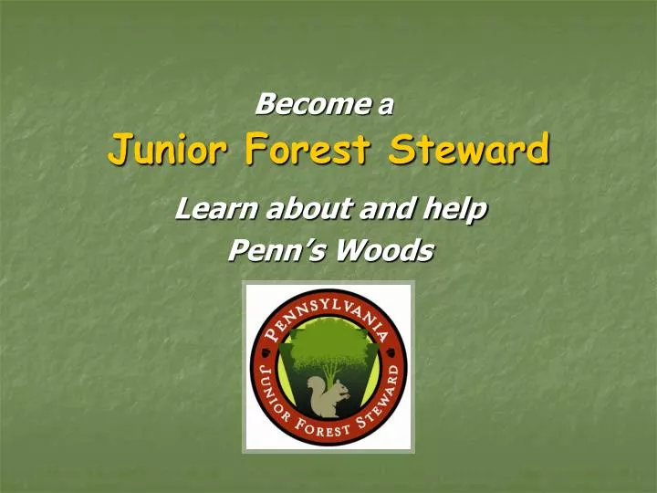 junior forest steward