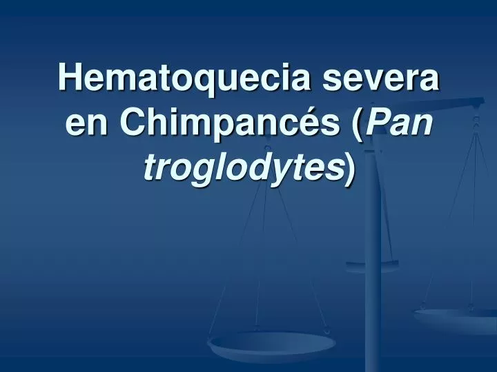 hematoquecia severa en chimpanc s pan troglodytes